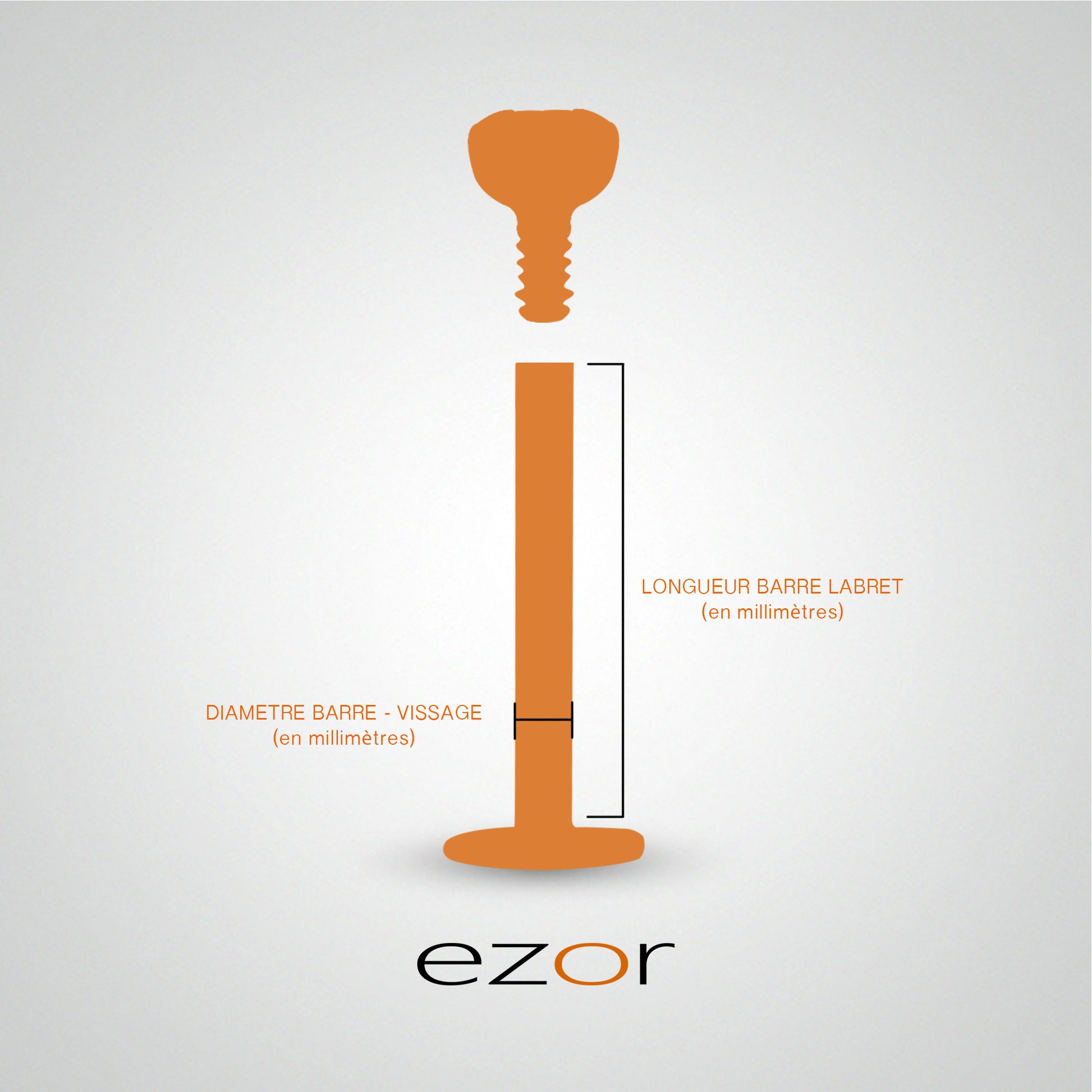 Piercing labret or blanc avec oxyde de zirconium taille