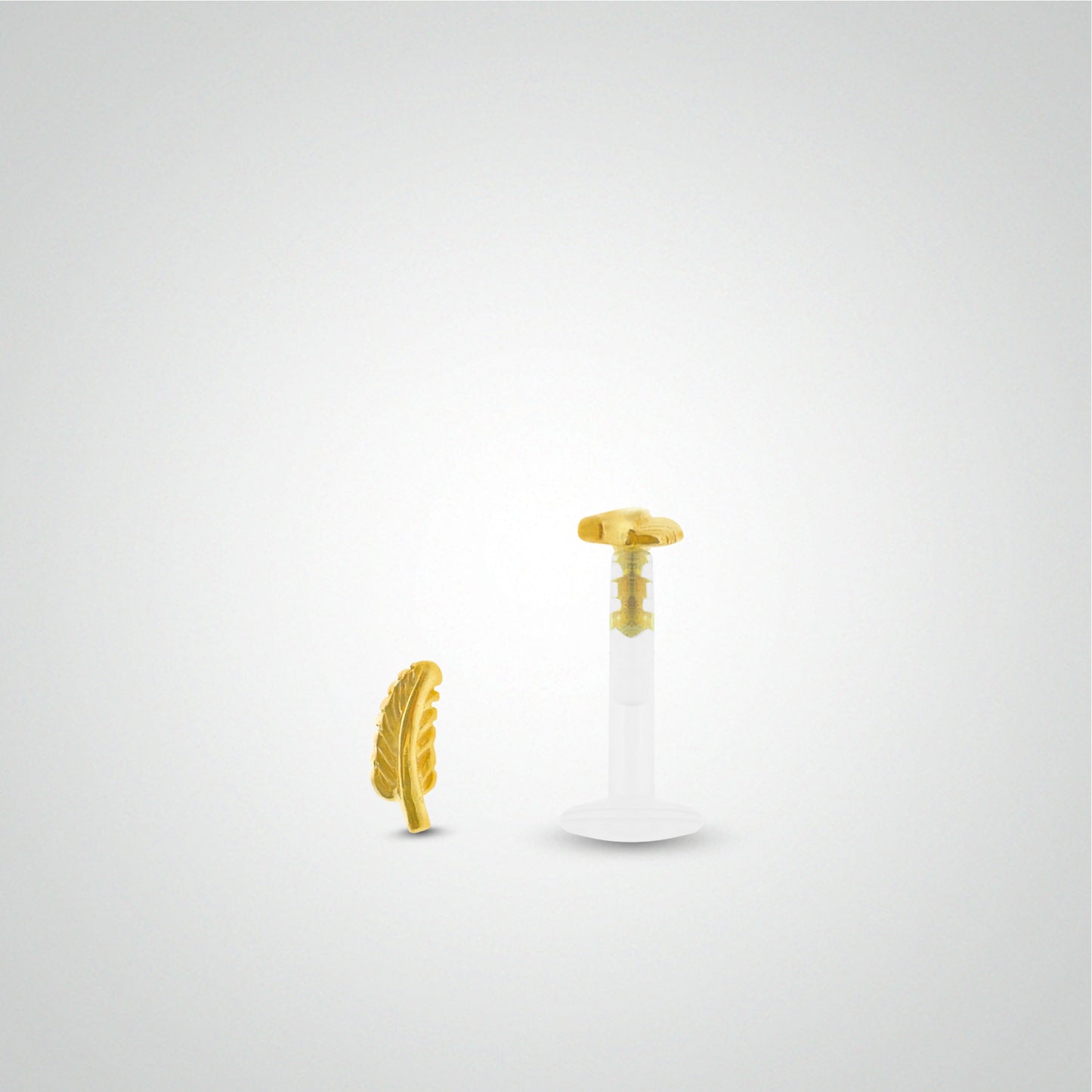 Yellow gold feather conch piercing