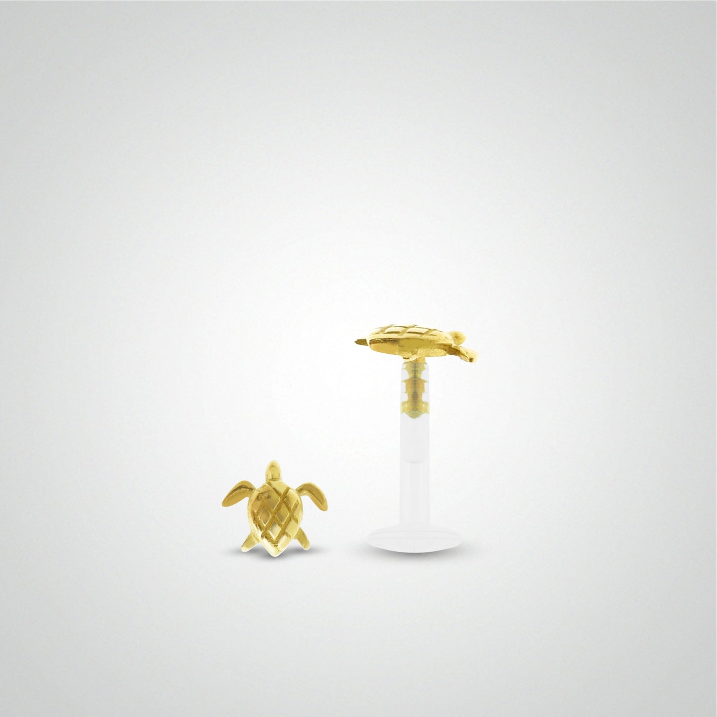 Yellow gold turtle helix piercing
