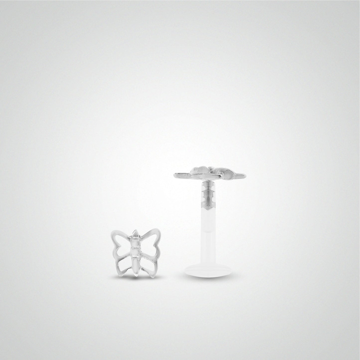 Piercing tragus papillon en or blanc