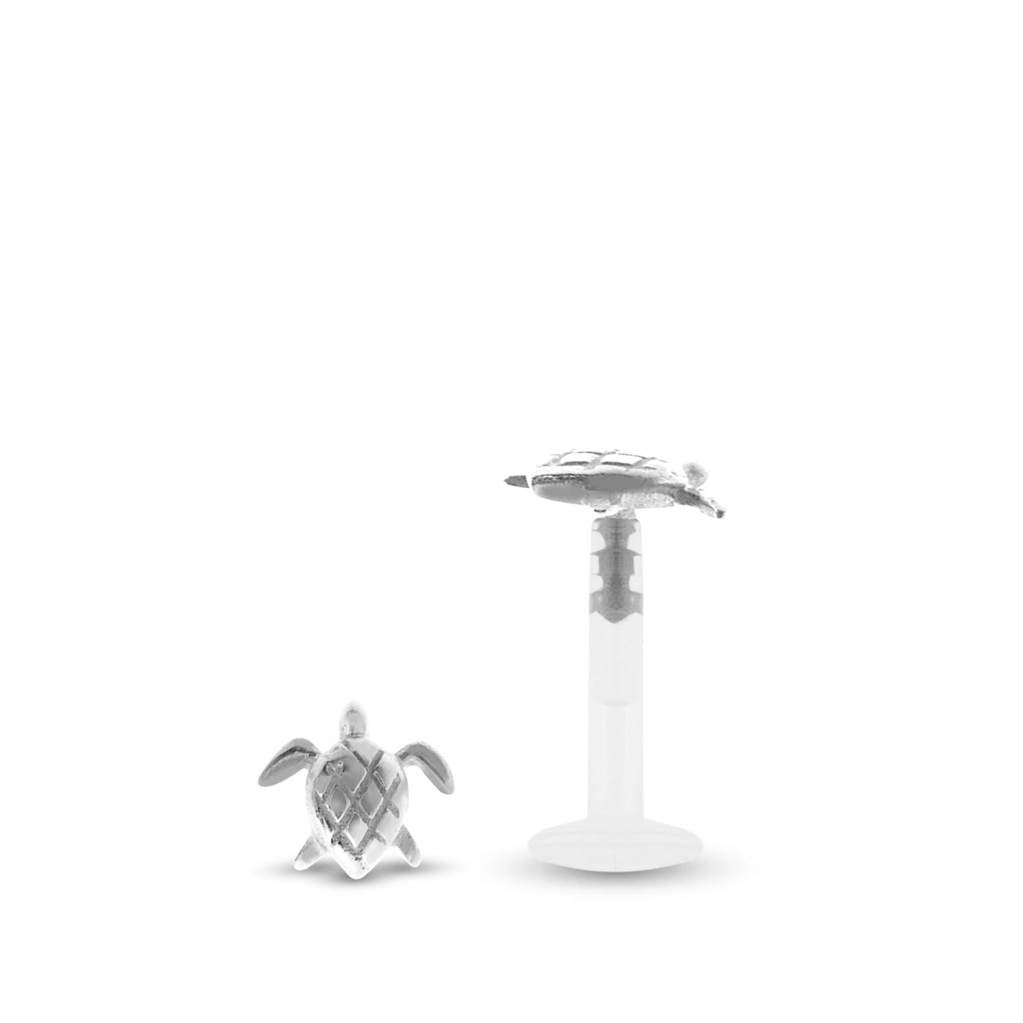 Piercing hélix tortue or blanc 18 carats bijou oreille