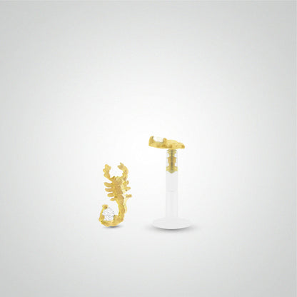 Yellow gold scorpion tragus piercing