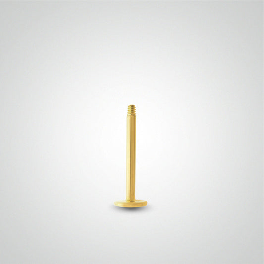 Piercing labret en or jaune (1,2mm)
