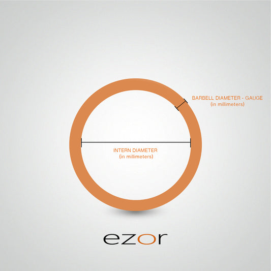 Piercing segment anneau en or blanc (1,6mm)